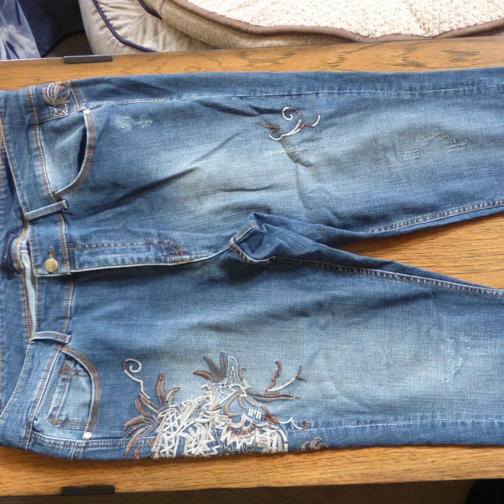 DENIM 24/7 BOHO PRAIRIE BLUE WASHED COLOR EMBROIDERED 5 POCKETS JEANS 20W
